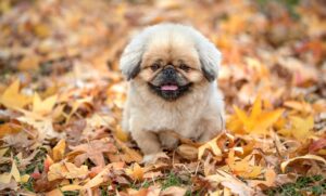 波動が低い時の恋愛パターンにはどんな特徴があるの？