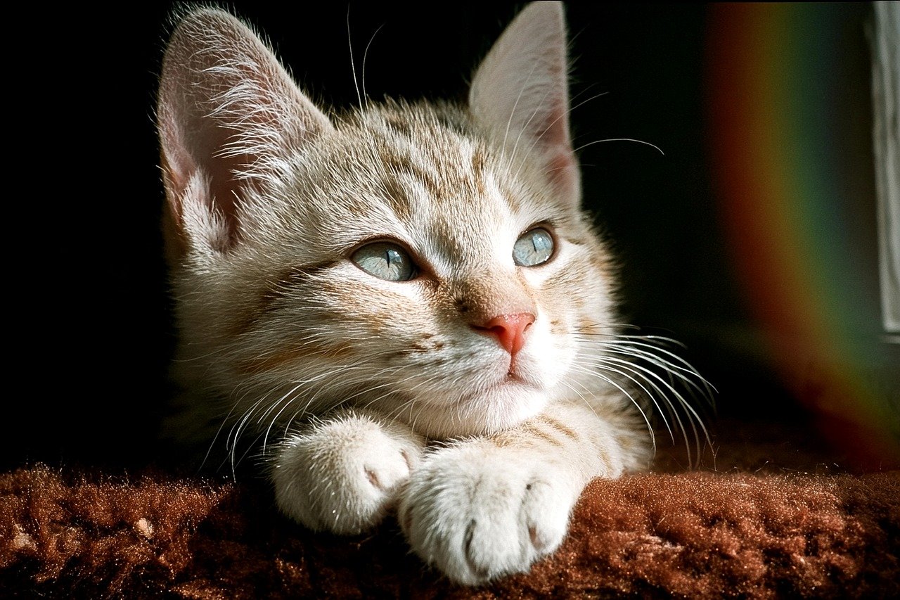 自己否定が強い恋愛の特徴とはどんなもの？