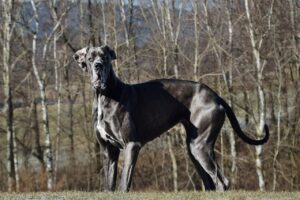 彼に嫌われるのは潜在意識の影響が関係しているのか？