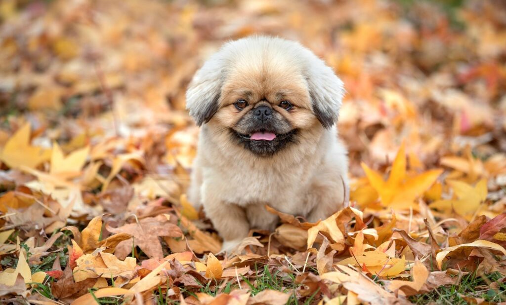 恋愛が重くなる原因と潜在意識の改善方法は？