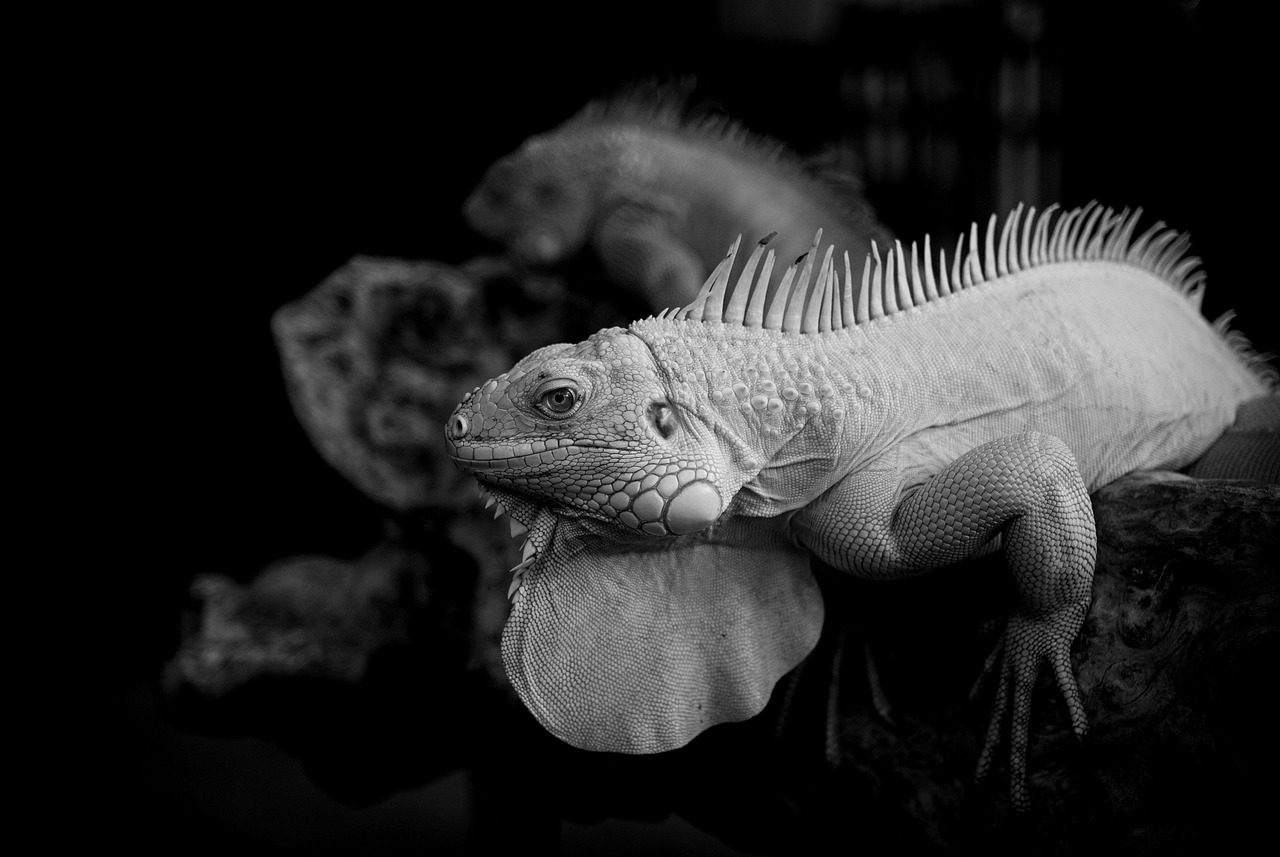 恋愛でダメ男ばかり引き寄せる理由とは？