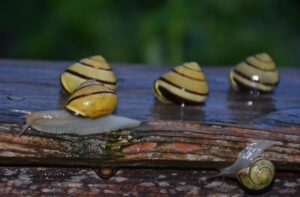 愛されたいのに愛されない理由とその解決策は？